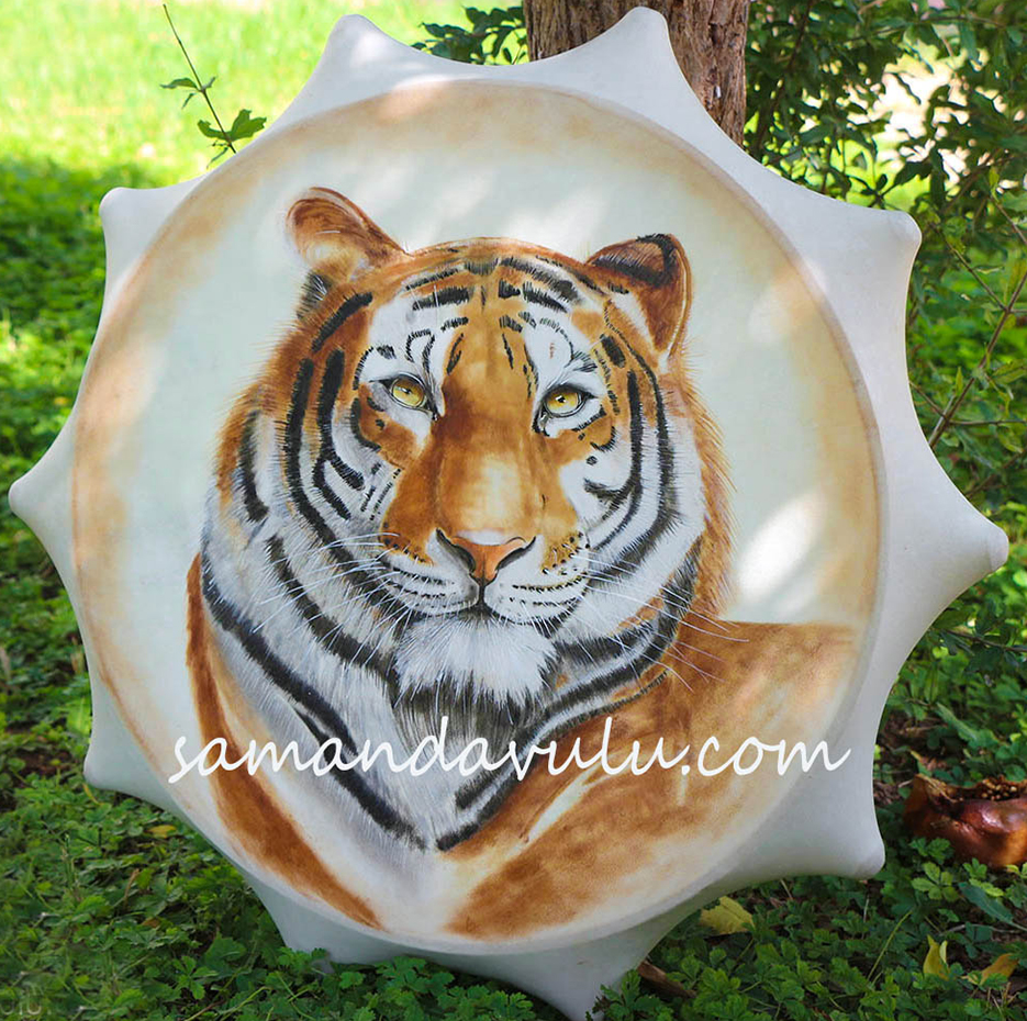 KAPLAN şaman davulu 1