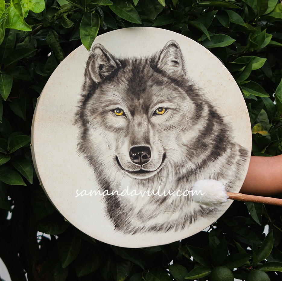 kurt şaman davulu 1