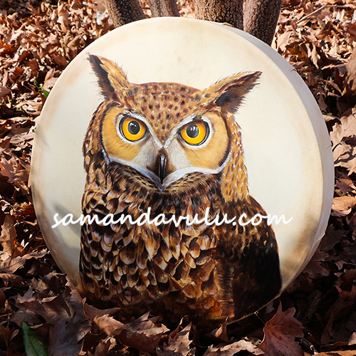 Baykuş Şaman Davulu 